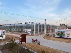 日光溫室建設需要考慮那些因素